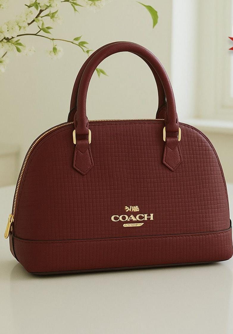 Coach Mini Sierra Satchel